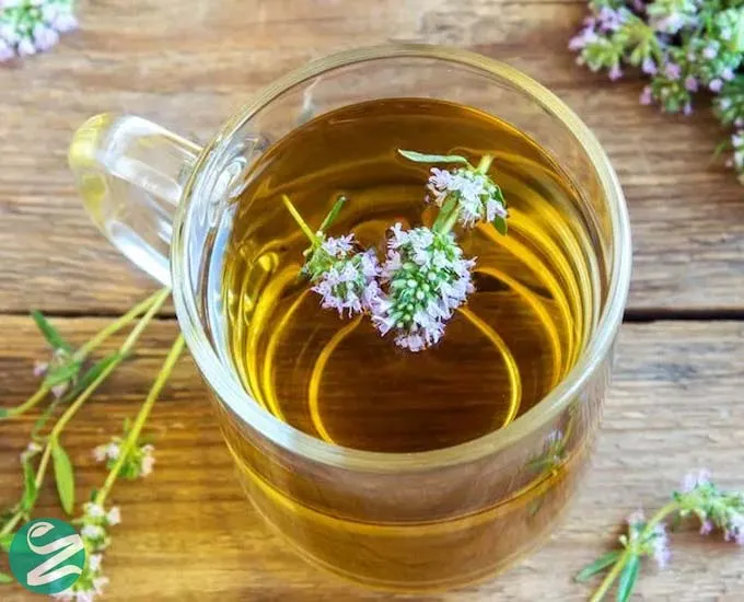 خواص دمنوش آویشن؛ 15 فایده شگفت‌انگیز برای سلامت بدن + عوارض و نکات مصرف
