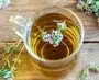 خواص دمنوش آویشن؛ 15 فایده شگفتانگیز برای سلامت بدن + عوارض و نکات مصرف