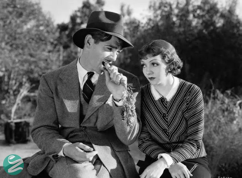 در یک شب اتفاق افتاد (IT HAPPENED ONE NIGHT)