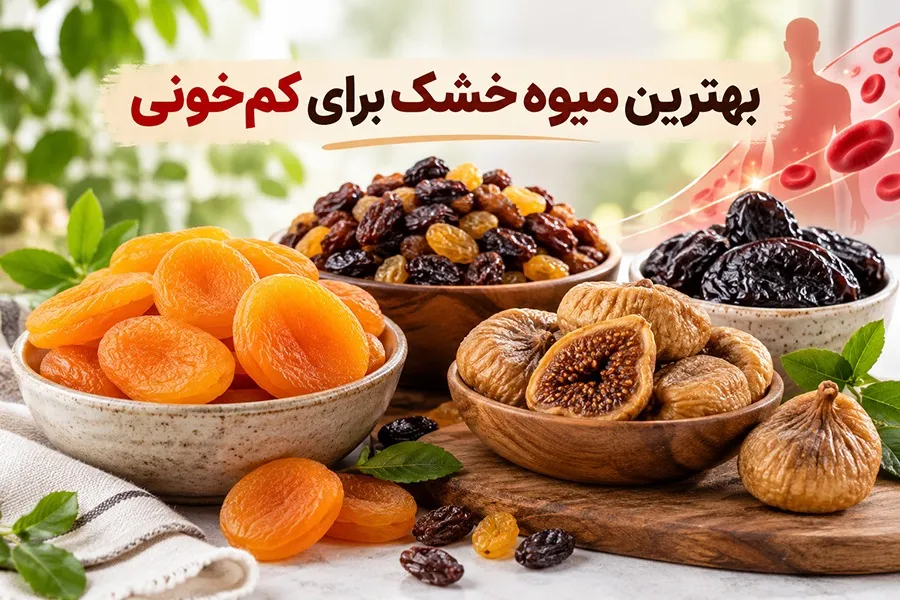 انواع میوه خشک برای کم خونی؛ براساس علائمی که تجربه می کنید