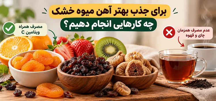 آهن میوه خشک را چطور بهتر جذب کنیم؟