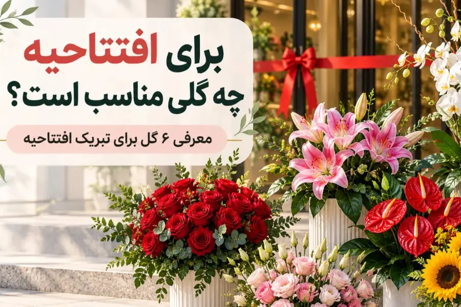 برای افتتاحیه چه گلی مناسب است؟ معرفی ۶ گل برای تبریک افتتاحیه