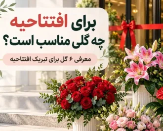 برای افتتاحیه چه گلی مناسب است؟ معرفی ۶ گل برای تبریک افتتاحیه
