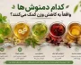 کدام دمنوش‌ها واقعاً به کاهش وزن کمک می‌کنند؟